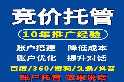 竞价托管实战案例：优化广告投放策略